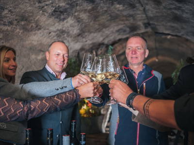 Bild 175 aus  Winzerhof Küssler, Weinviertel