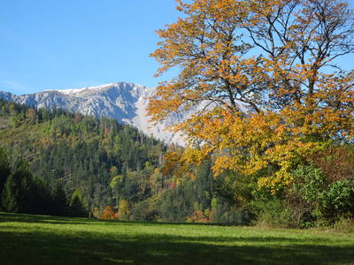 Bild 4 aus  Ferienwohnung Schneebergblick 