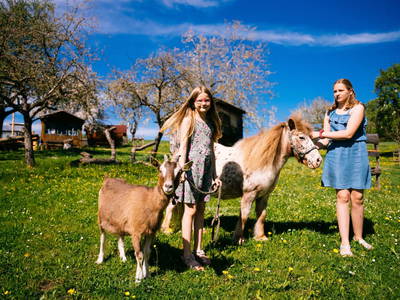 Bild 119 aus  Biohof Stadler