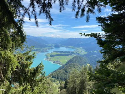 Bild 135 aus Reiterhof Suassbauer