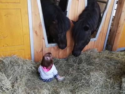 Bild 67 aus  Haus Saling