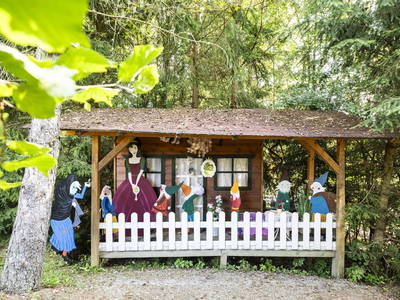 Bild 28 aus  Kuchlbauer