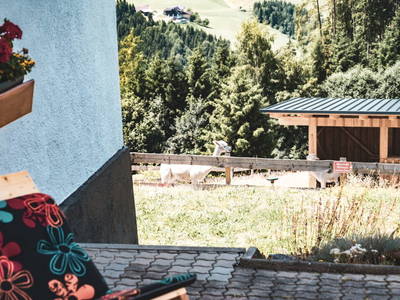 Bild 20 aus  Nussbolterhube