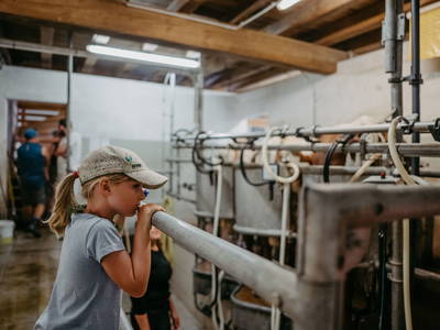 Bild 91 aus  Biobauernhof Aubauer