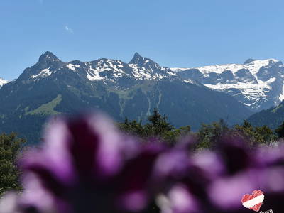 Bild 15 aus  Familienbetrieb Maier