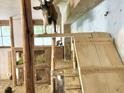 Bild 162 aus  Erbhof Hinting + Appartementhaus Hinting