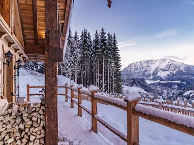 Bild 20 aus  Die Chalet Alm