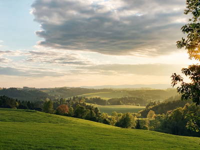 Bild 65 aus  Grainmeister