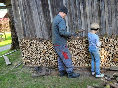 Bild 22 aus  Rosspointnerhof