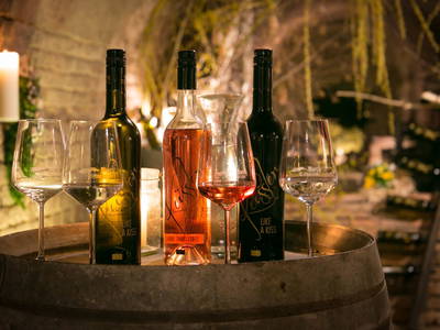 Bild 72 aus  Winzerhof Küssler, Weinviertel