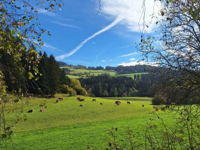 Bild 150 aus  Naturpark Bauernhof Sperl