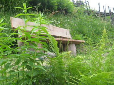 Bild 58 aus  Größingalm