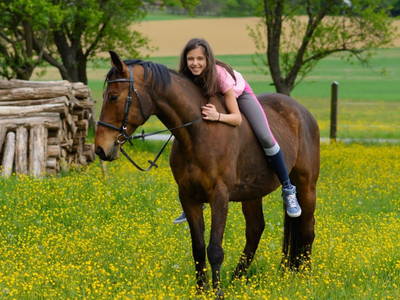 Bild 2 aus  Bio-Pferdehof Fabian