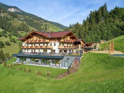 Bild 2 aus  Berglodge Grossarl