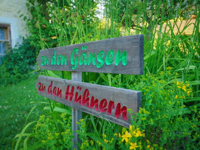 Bild 105 aus  Biohof Obereibensteiner