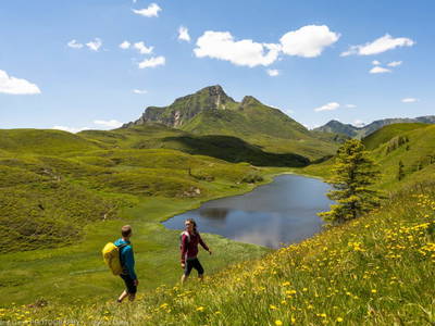 Bild 95 aus  Nagerhof