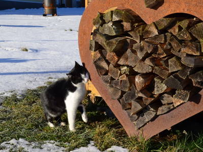 Bild 82 aus  Obergrafenberger