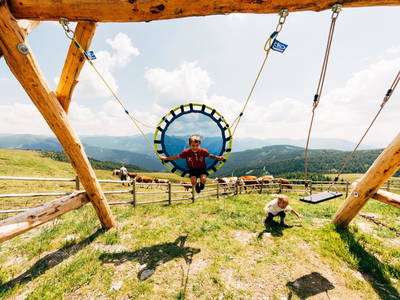 Bild 46 aus TESTHOF Oberösterreich