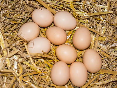 Bild 38 aus  Ausserwieserhof Kaser