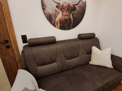 Bild 21 aus  Vorderreit