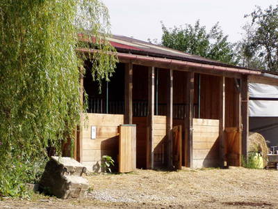 Bild 49 aus  Schönlehenhof