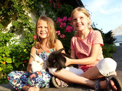 Bild 31 aus  Schauerhof