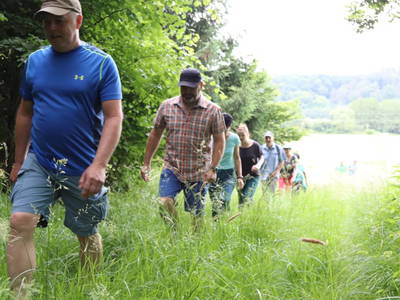 Bild 40 aus  Buchgrabenhof