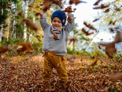 Bild 134 aus  Biohof Seidl