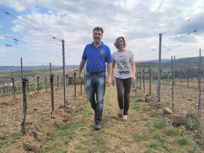 Bild 21 aus  Weinhof Brauner