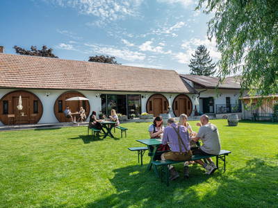 Bild 42 aus  Winzerhof Küssler, Weinviertel