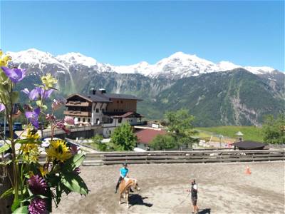 Bild 32 aus Bio & Reiterhof der Veitenhof Ötztal Tirol