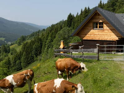 Hütte