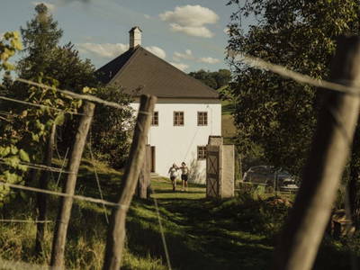 Bild 44 aus  Trattnachtaler Weinhaus