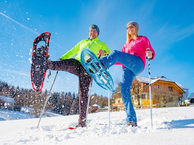 Bild 12 aus Testhof UaB Steiermark