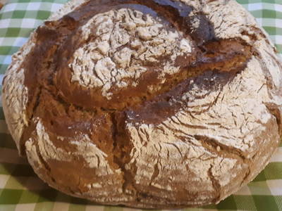 Bild 101 aus  Schwarzenbichlalm