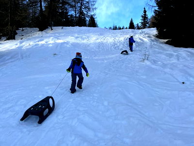 Bild 73 aus Almhütte Kärnten - Almhütte Troadkasten Stubeck