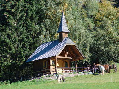 Bild 26 aus  Der Perweinhof