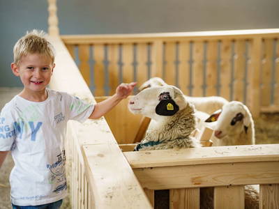 Bild 43 aus  Linharterhof Appartements