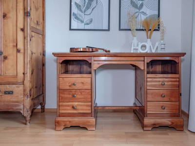 Bild 240 aus  Pleschinhof