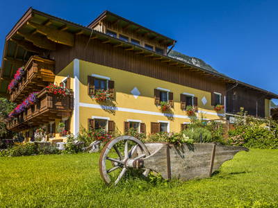 Bild 2 aus  Starbauer