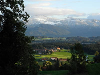 Bild 11 aus  Fürstnerhof-Reiterhof