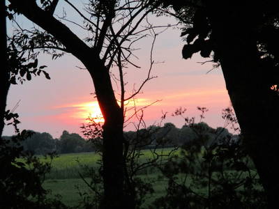 Bild 6 aus  Ferienhof Hohenhenne