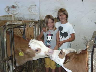 Bild 30 aus  Bauernhof König