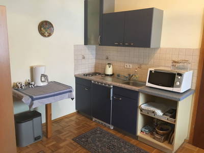 Bild 169 aus  Isländerhof Köck vlg. Kristanhof