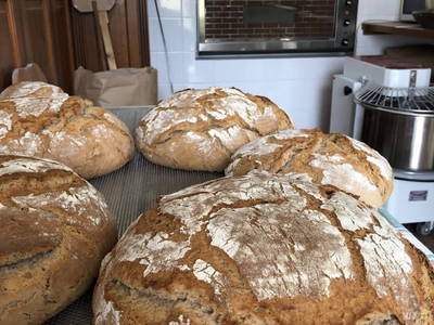 Bild 50 aus  Weingut Kleinschuster