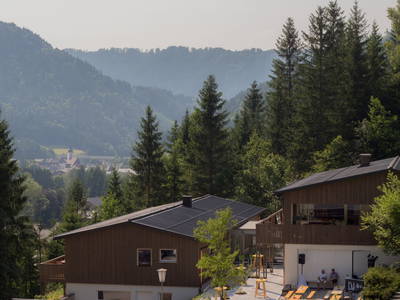 Bild 2 aus  Bienenkunde Apartments