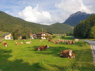 Moar  aus St. Aegyd am Neuwalde