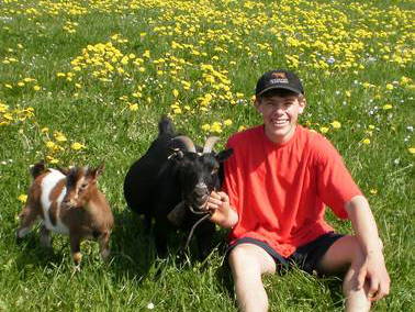 Bild 6 aus  Hummelhof