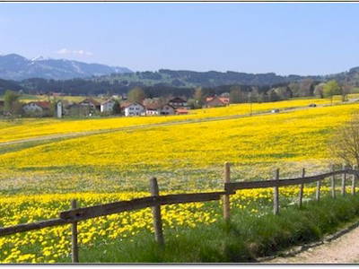 Bild 6 aus  Ferienhof Endras