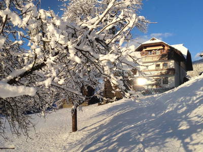 Bild 38 aus  Gutzingerhof